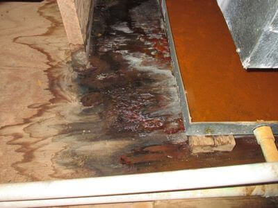 About Quorvex Dome - water damage restoration experts in Carson