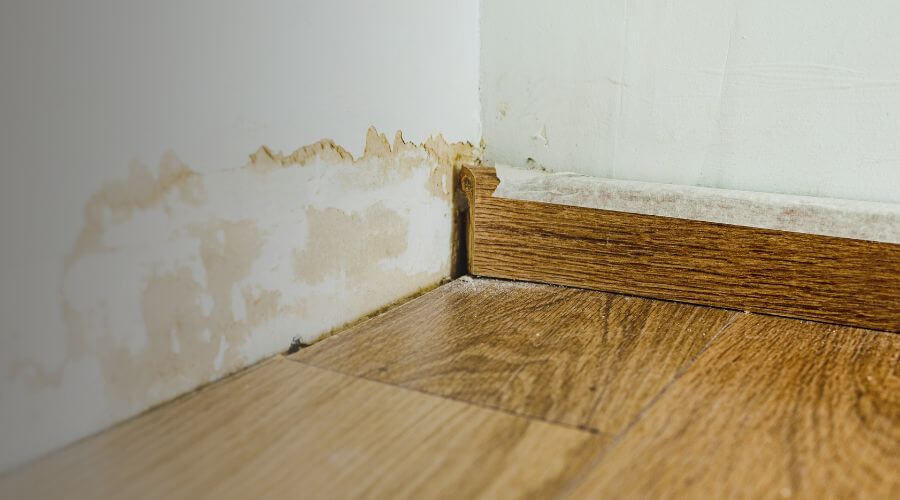 Why choose Quorvex Dome for water damage restoration in Carson